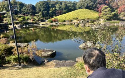 ◆晴れる家大仙公園　日本庭園探索
