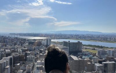◆晴れる家大仙公園 「私の目に狂いはなかった」