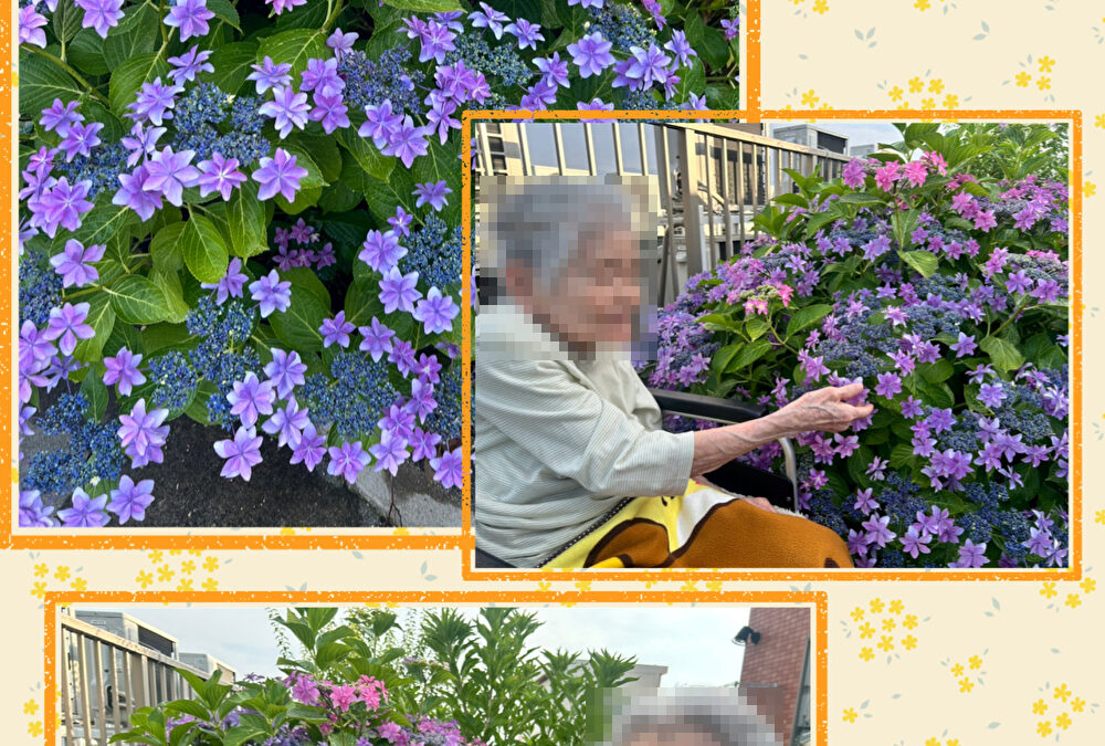 ◆晴れる家１号館お花がいっぱい！